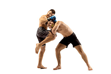 Image showing Two professional boxers boxing isolated on white studio background