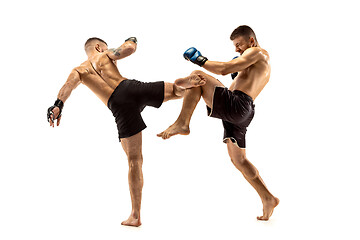 Image showing Two professional boxers boxing isolated on white studio background