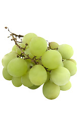 Image showing Bunch of white grapes