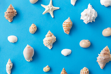 Image showing different sea shells on blue background