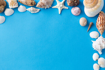 Image showing frame of different sea shells on blue background