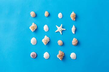 Image showing different sea shells on blue background