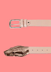 Image showing A genuine leather belt. Modern design. Contemporary art collage.