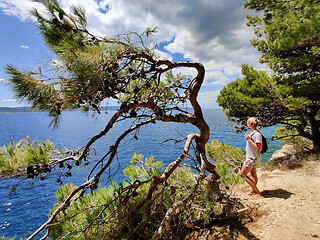 Image showing Young active feamle tourist wearing small backpack walking on coastal path among pine trees looking for remote cove to swim alone in peace on seaside in Croatia. Travel and adventure concept