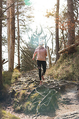 Image showing Active sporty woman running in autumn fall forest. Female runner training outdoor. Healthy lifestyle image of young caucasian woman jogging outside.