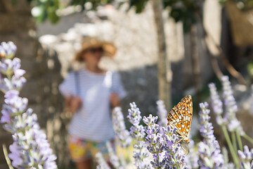 Image showing Out of focused image of young female traveler wearing straw sun hat enjoying summer on Mediterranean cost strolling among lavander flowers on traditional costal village garden.