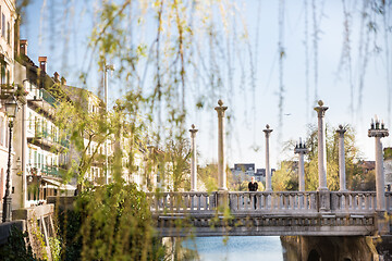 Image showing Unique Plecnik arhitecture of Cobblers bridge seen trough willow branches in old medieval city center of Ljubljana, Slovenia