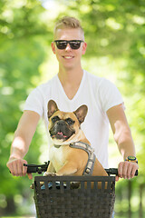 Image showing French bulldog dog enjoying riding in bycicle basket in city park