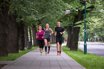 Image showing runners team on morning training