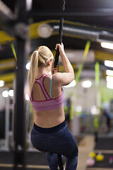 Image showing woman doing rope climbing