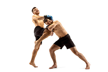 Image showing Two professional boxers boxing isolated on white studio background