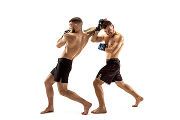 Image showing Two professional boxers boxing isolated on white studio background