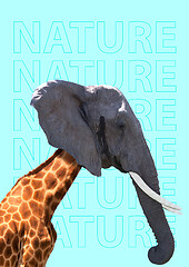 Image showing Nature can be different. Modern design. Contemporary art collage.