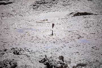 Image showing volcanic activities at waimangu