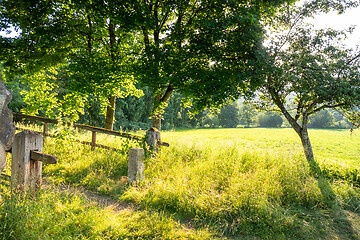 Image showing rural scenery with sun light