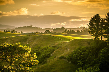 Image showing sunset landscape New Zealand north island