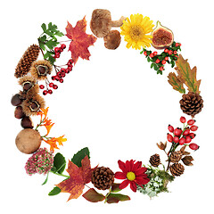 Image showing Autumn Wreath 