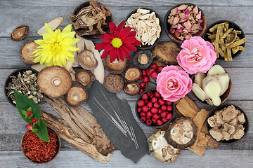 Image showing Chinese Alternative Herbal Medicine