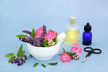 Image showing Herbal Medicine Naturopathic Preparation