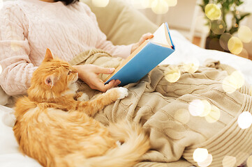 Image showing red cat and female owner reading book at home