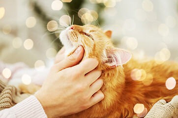 Image showing close up of owner with red cat in bed at home