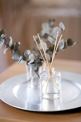 Image showing aroma reed diffuser and branches of eucalyptus