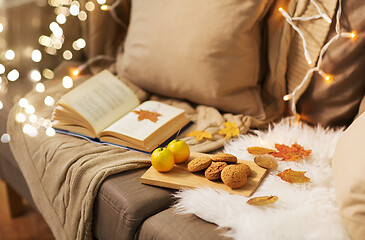 Image showing lemons, book, almond and oatmeal cookies on sofa