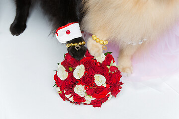 Image showing dog wedding couple paws on bouquet