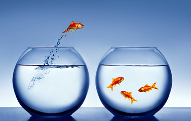 Image showing goldfish jumping out of the water