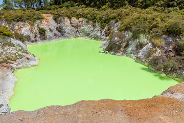 Image showing geothermal activity at Rotorua in New Zealand