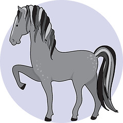 Image showing Horse Dapple