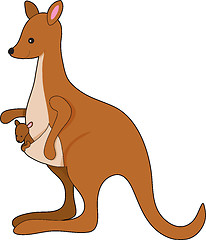 Image showing Kangaroo