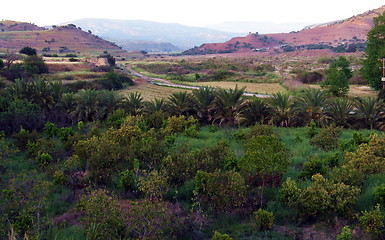 Image showing Brown and green landscape. Cyprus