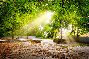 Image showing Sun rays in park