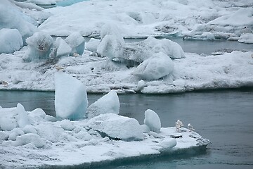 Image showing Glacial lake in Iceland