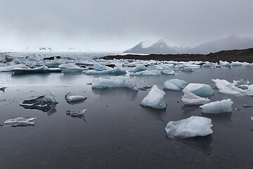 Image showing Glacial lake with icebergs