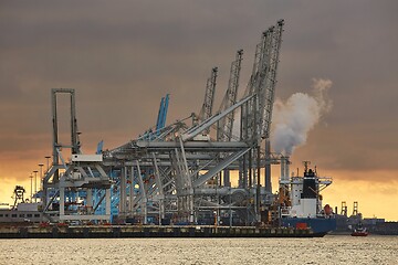 Image showing Container Dock in Rotterdam