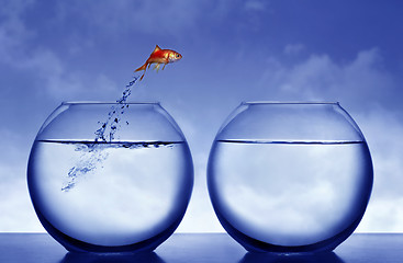 Image showing goldfish jumping out of the water