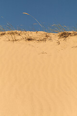 Image showing Yellow desert sand texture with grass and sky on the top.