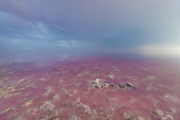 Image showing Quiet scene of pink water of salt lake.