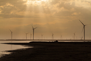 Image showing Group of wind turbines on the coastline.