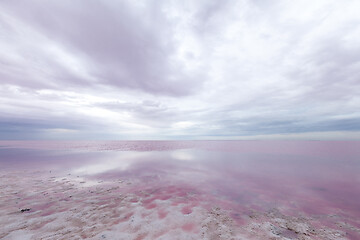 Image showing Quiet scene of pink water of salt lake.