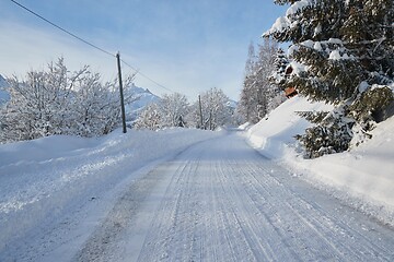 Image showing Winter Road in a Village