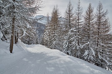 Image showing Winter Snowy Mountain Landscape