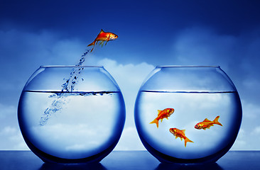 Image showing goldfish jumping out of the water