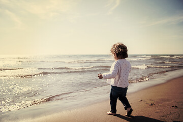 Image showing cute little girl at autumn beach