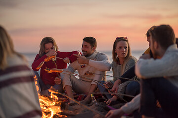 Image showing Group Of Young Friends Sitting By The Fire at beach