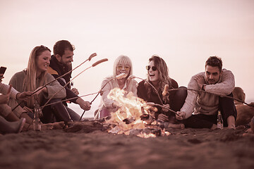 Image showing Group Of Young Friends Sitting By The Fire at beach