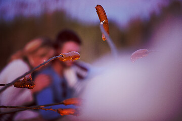 Image showing Group Of Young Friends Sitting By The Fire at beach