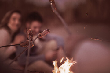 Image showing Group Of Young Friends Sitting By The Fire at beach